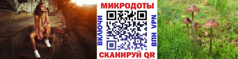 Галлюциногенные грибы ЛСД Купить закладки Вольск
