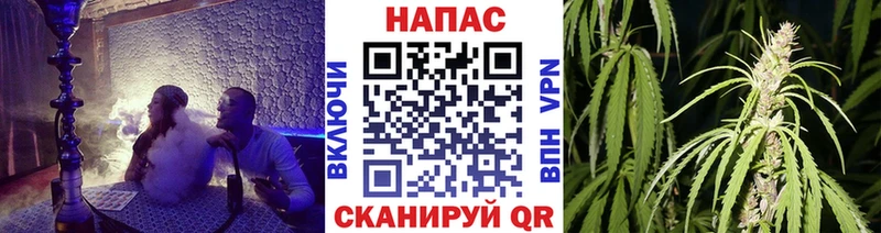 Купить где  Вольск  Шишки марихуана конопля 